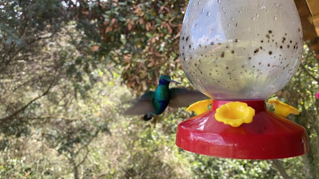 Un Refugio En Las Montanas De Tabio Villa Kültér fotó